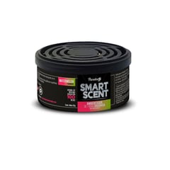 SMART SCENT - Ambientador 100 dias Sandia