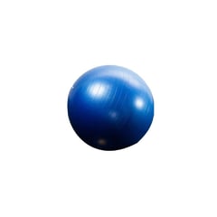 SUPREMACY EQUIPMENTS - Balón de pilates 55 cm pesado