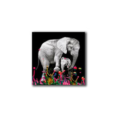VENECIA - Cuadro Elefante Colores S 30x30 cm