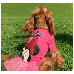 DISNEY - Camiseta para mascotas minnie mouse