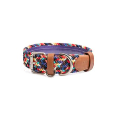 OBI PET SUPPLIES - Collar para perro - - Cloe Sparkie - M