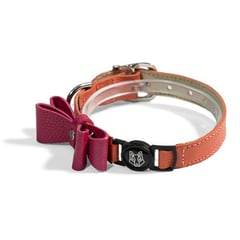 OBI PET SUPPLIES - Collar para Gato - - Kenny Mandarina