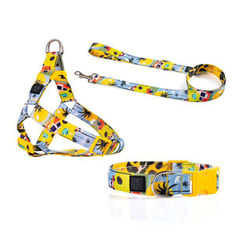 OBI PET SUPPLIES - Tricombo para perro - Collar Correa y Arnés - Andino - XS