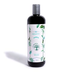 KABA - Shampoo de Argán para Cabello Seco La Receta