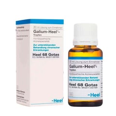 HEEL - GALIUM GOTAS X 30 ML