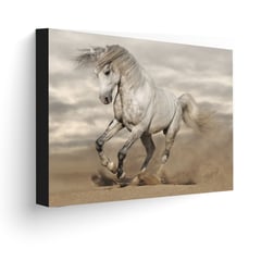 ART INDUSTRY - Cuadro 70x50 Cms Decorativo Caballo 5