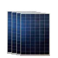 TECNIGREEN - Panel Solar De 160w Policristalino De 36 Celdas.