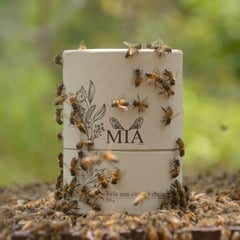 MIA - VELAS A BASE DE CERA DE ABEJAS 250GR