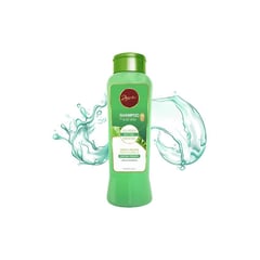 ANYELUZ - Shampoo aloe vera y biotina anyeluz 500 ml