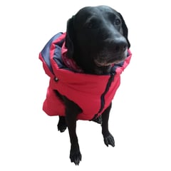 TIENDA MASKOTIKAS - Chaleco Impermeable Para Perro GRANDE - Color ROJO 2XL