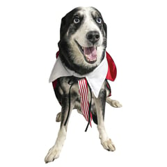 AMERICO SHOP - Disfraz de Mago para Perro Grande Mascota Talla 5XL