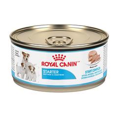 ROYAL CANIN - Starter Mother and Baby dog Comida Humeda 145g