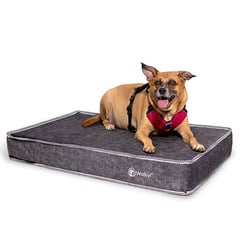 WALKY - Cama Ortopédica para perro Grande