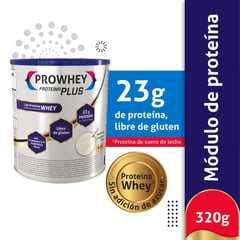 PROWHEY - Plus Sabor Natural X 320g