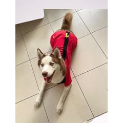 MELLOW FOR PETS - Camisa Polo para perro