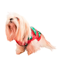 SHENGSHOU - Saco Traje Buzo Navideño Para Perro Gato Talla S