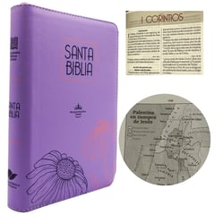 SBC - Biblia Cristiana Reina Valera 1960 Letra Tamaño Grande - Canto Lila