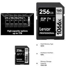 LEXAR - Memoria SDXC UHS-I V30 256Gb 160Mbps 1066x