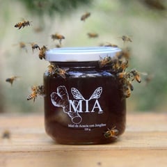 MIA - MIEL DE ABEJAS CON JENGIBRE 280gr