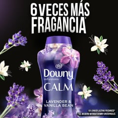 DOWNY - Perlas Potenciador de Aroma Para Ropa Lavadora 1.13Kg