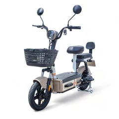 CANAAN - Bicicleta eléctrica Eco Smart BEIGE MÁS OBSEQUIO