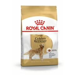 ROYAL CANIN - Perro Golden Retriever Adulto 13.6kg