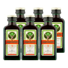 JAGERMEISTER - Botellita Mini X6 - mL