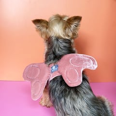 WAWAW - Alas para perro talla M Mariposa rosado Halloween