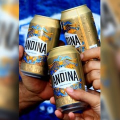 ANDINA - Cerveza 330ml X24