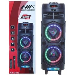 NIA - Cabina Sonido Recargable Micrófono Luces Leds FM 12000w Bluetooth