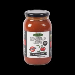 VILLA SANTOS - Salsa Concentrada con Tomate x 480 Grs –