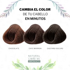 MI COLOR - Shampoo Aclarante Natural - Sin Amoniaco - Chocolate & Castaño Cubre Canas