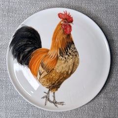 ARTE PLATONICO - Plato de sitio funcional Gallo