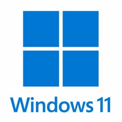MICROSOFT - WINDOWS 11 PRO 1 PC