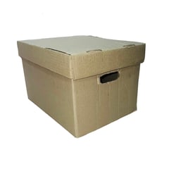 GENERICO - Cajas X300 C720 Para Archivos Paquete X 20 Unidades