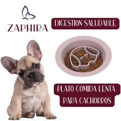 ZAPHIRA - Plato comida lenta - antirreflujo para cachorros