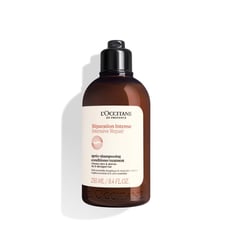 LOCCITANE - Acondicionador Reparador Intensivo 250ml