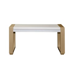 ELITE LIVING - MESA DE CENTRO OXFORD PEQUEÑA 80X40 BLANCO PERLA CHAMPAÑA