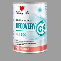 GENERICO - Disugual Alimento Dietético Paté Salmón Perro Recovery 400gr