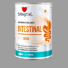 GENERICO - Disugual Alimento Paté Trucha Perro Intestinal 400g