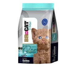 BR - ALIMENTO FOR CAT GATITOS SALMON 1 KG