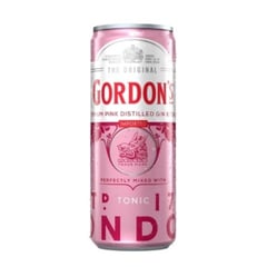 GORDON'S - Gordons Pink Gin & Tonic 250ml