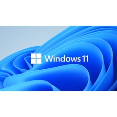 MICROSOFT - WINDOWS 11 PRO RETAIL