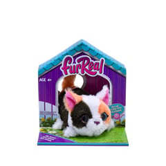 FURREAL FRIENDS - Peluche FurReal Mini Kitty