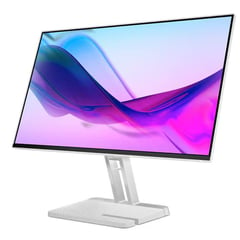 LENOVO - Monitor L24i-4A 238” HDMI - Gris