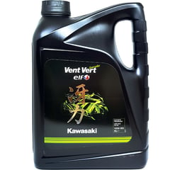 ELF - ACEITE PARA MOTO VENT VERT 10W50 GALON