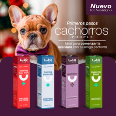 LULOPET - KIT PRIMEROS PASOS CACHORRO PURPLE