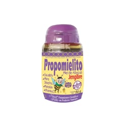 NATURAL FRESHLY - Propomielito Miel de abejas y Jengibre 350 g