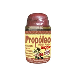 NATURAL FRESHLY - Propóleo Miel de abejas con Jengibre x 350 gr