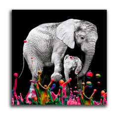 MICA - Cuadro Poliéster Elefante Colores L